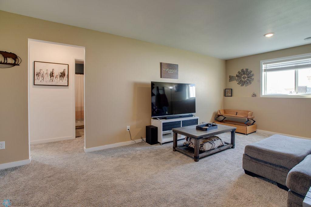 Lower level family room
