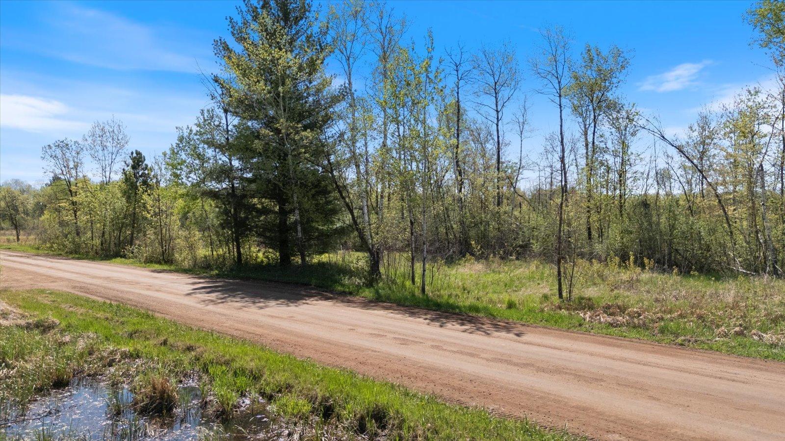 Beautiful land and vegetation