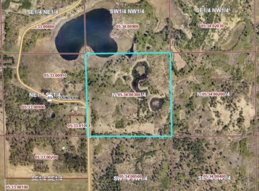 TBD Co Rd 89, Park Rapids, MN 56470