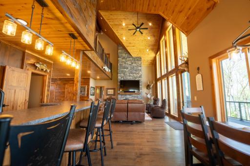 4380 Pine Point Drive NW, Walker, MN 56484