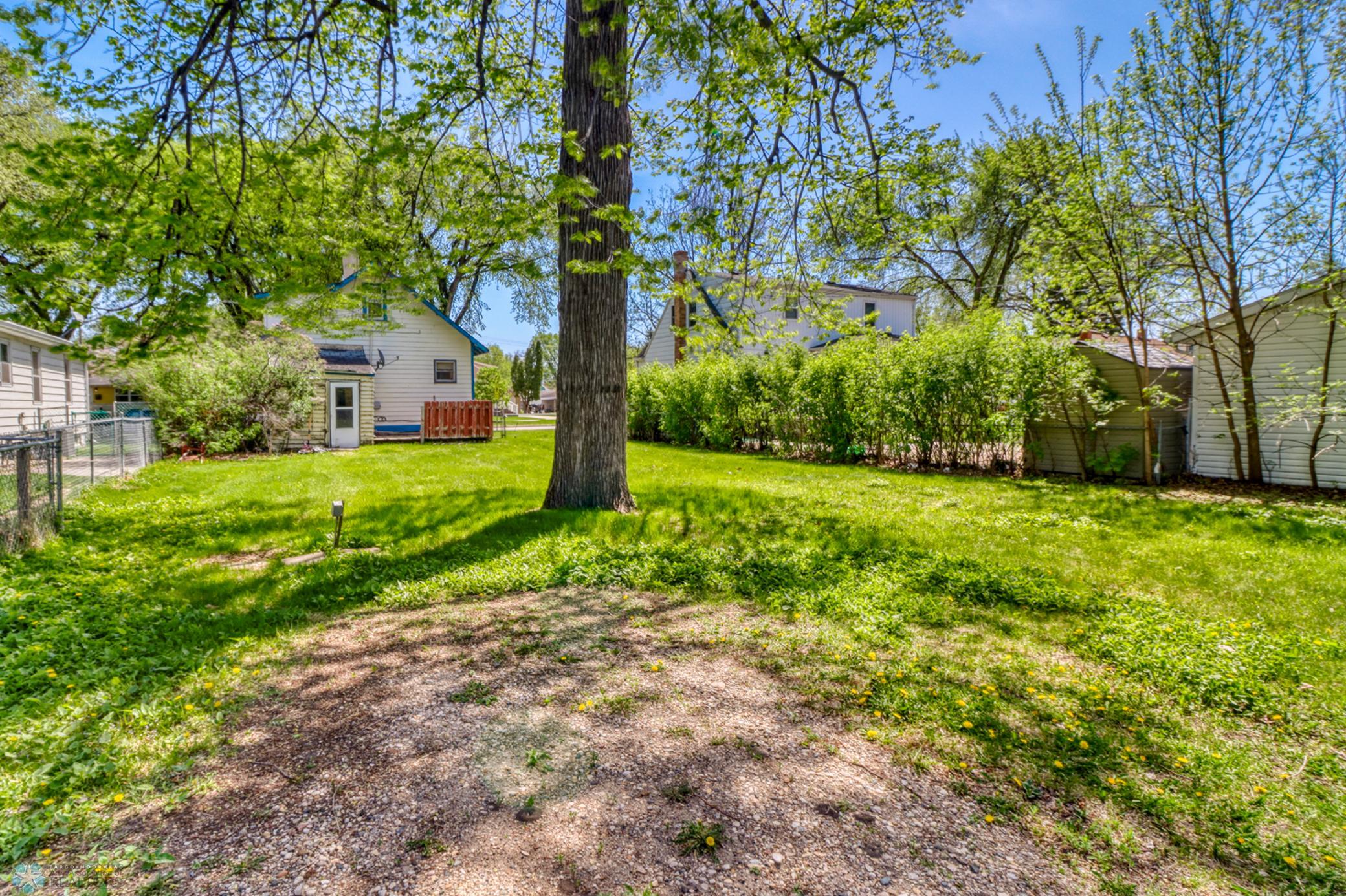 Backyard1_1.JPG
