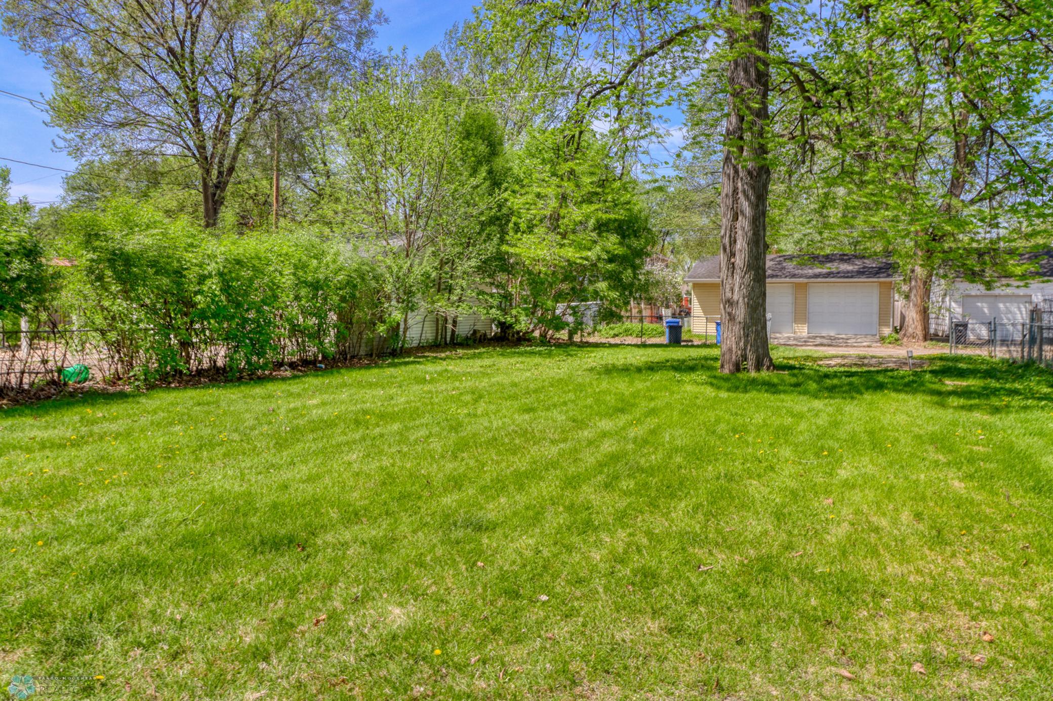 Backyard1_0.JPG