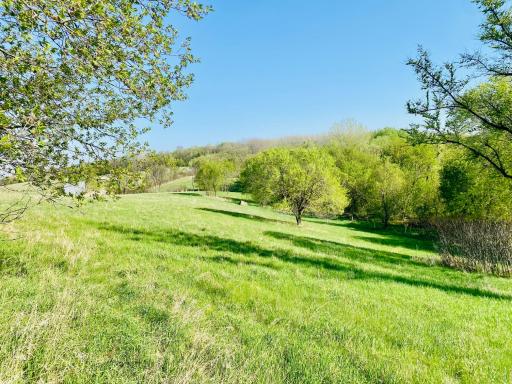 22844 County Highway 22, Fergus Falls, MN 56537