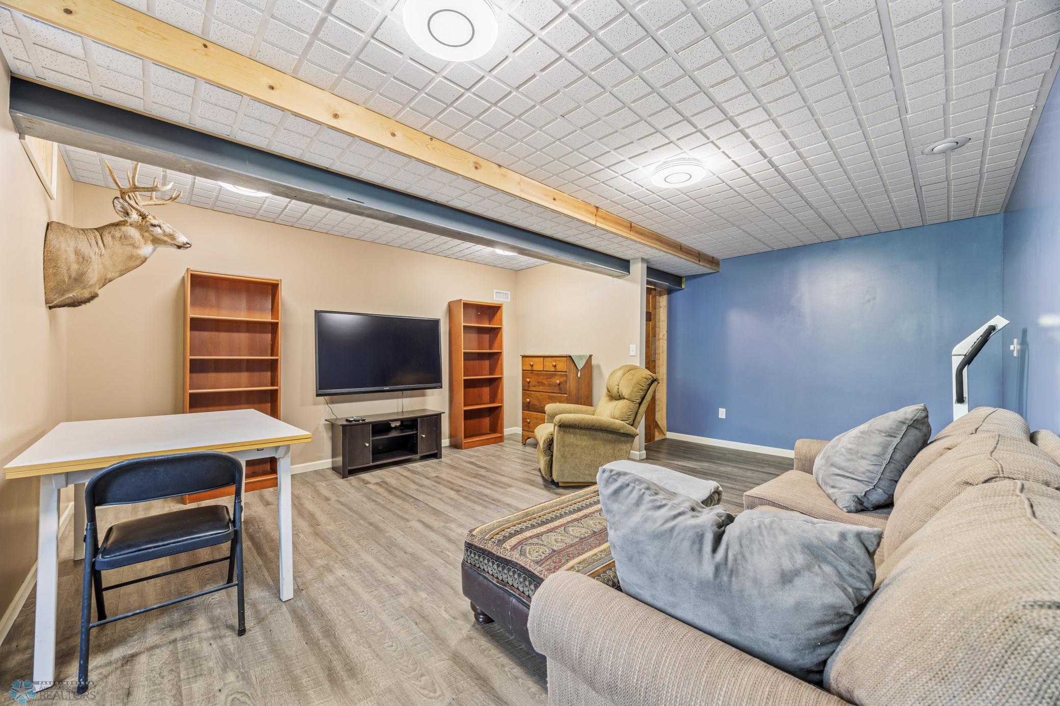 Basement family room