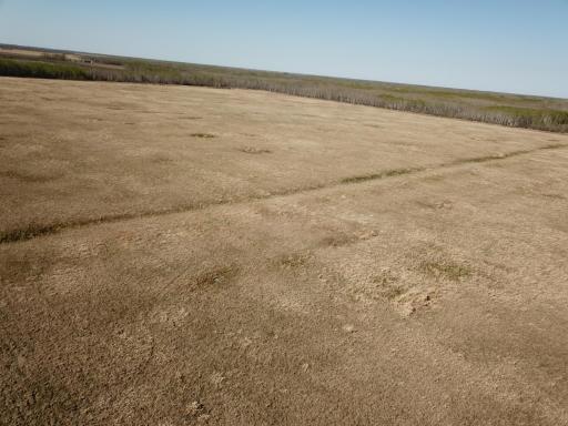 TBD 450th Street NE, Strathcona, MN 56759