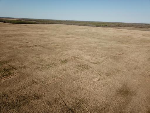 TBD 450th Street NE, Strathcona, MN 56759