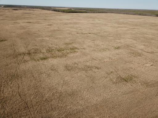 TBD 450th Street NE, Strathcona, MN 56759