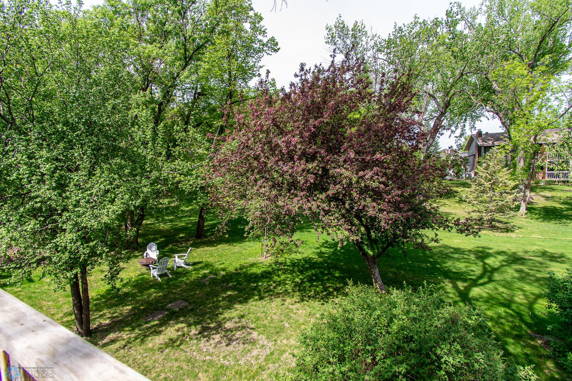 View from Deck
