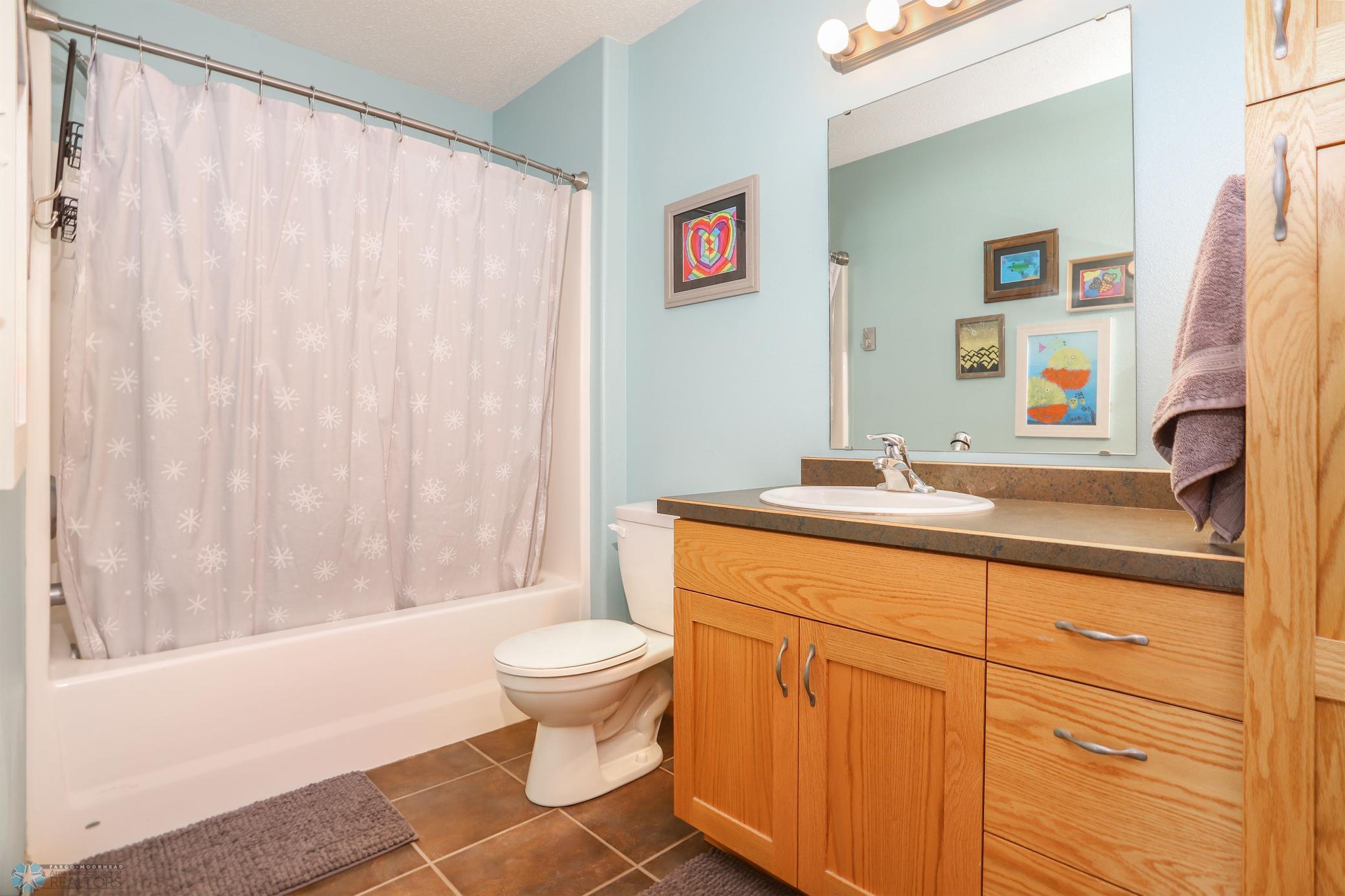 Lower Level Bathroom