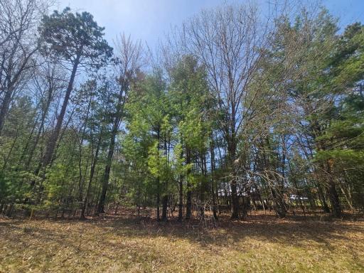 7370 Poplar Street E, Webster, WI 54893