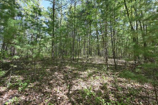 7370 Poplar Street E, Webster, WI 54893