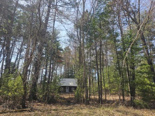 7370 Poplar Street E, Webster, WI 54893
