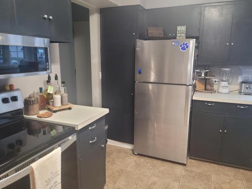 Photo for 340 Kendall Avenue N, Thief River Falls, MN 56701 - Listing #6719451 340 Kendall Avenue N, Thief River Falls, MN 56701