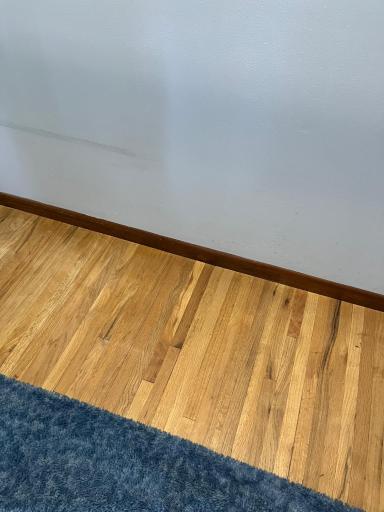 Exposed hardwood floors in the 2nd bedroom closet.