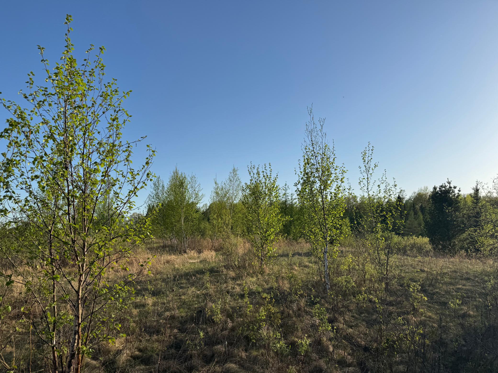 Photo 32
