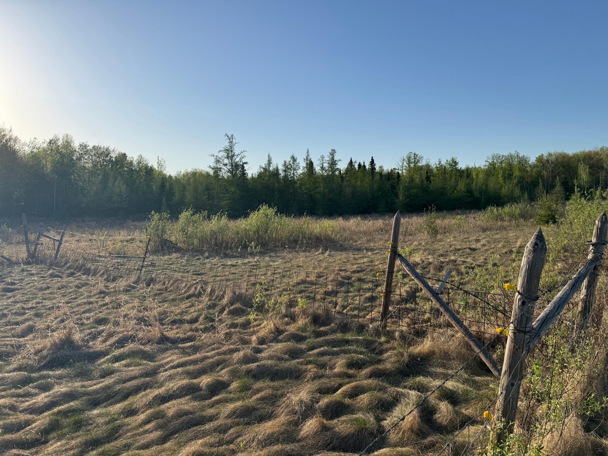 Photo 40