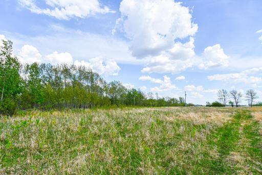 Photo for TBD 150th Ave NE, Thief River Falls, MN 56701 - Listing #6720247 TBD 150th Ave NE, Thief River Falls, MN 56701