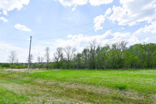 Photo for TBD 150th Ave NE, Thief River Falls, MN 56701 - Listing #6720247 TBD 150th Ave NE, Thief River Falls, MN 56701