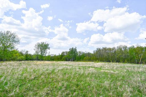 Photo for TBD 150th Ave NE, Thief River Falls, MN 56701 - Listing #6720247 TBD 150th Ave NE, Thief River Falls, MN 56701