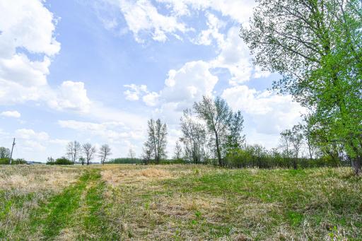 Photo for TBD 150th Ave NE, Thief River Falls, MN 56701 - Listing #6720247 TBD 150th Ave NE, Thief River Falls, MN 56701