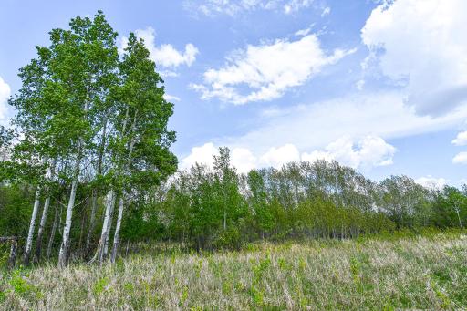 Photo for TBD 150th Ave NE, Thief River Falls, MN 56701 - Listing #6720247 TBD 150th Ave NE, Thief River Falls, MN 56701