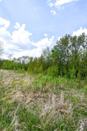 Photo for TBD 150th Ave NE, Thief River Falls, MN 56701 - Listing #6720247 TBD 150th Ave NE, Thief River Falls, MN 56701