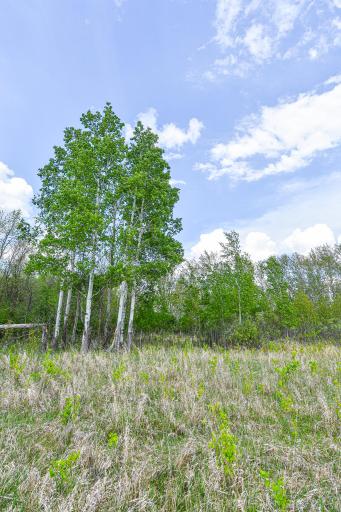 Photo for TBD 150th Ave NE, Thief River Falls, MN 56701 - Listing #6720247 TBD 150th Ave NE, Thief River Falls, MN 56701