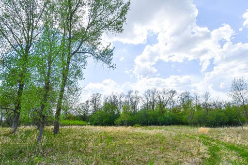 Photo for TBD 150th Ave NE, Thief River Falls, MN 56701 - Listing #6720247 TBD 150th Ave NE, Thief River Falls, MN 56701