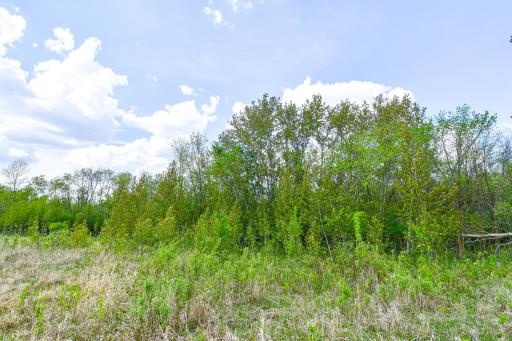 Photo for TBD 150th Ave NE, Thief River Falls, MN 56701 - Listing #6720247 TBD 150th Ave NE, Thief River Falls, MN 56701