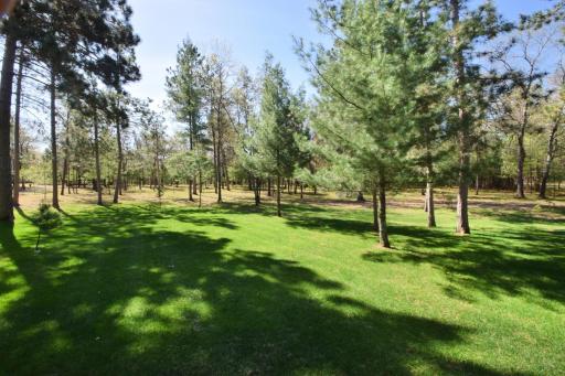 N13071 Dragon Drive, Minong, WI 54859