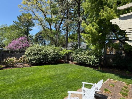 Pretty ornamental flowering trees around the backyard