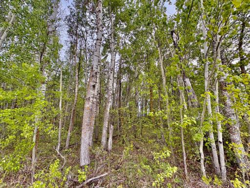 Photo for TBD 22nd St NW, Baudette, MN 56623 - Listing #6720693 TBD 22nd St NW, Baudette, MN 56623