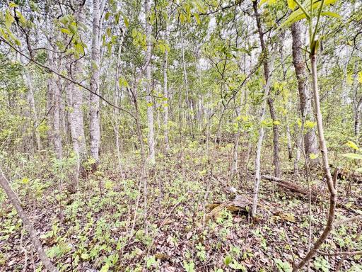 Photo for TBD 22nd St NW, Baudette, MN 56623 - Listing #6720693 TBD 22nd St NW, Baudette, MN 56623