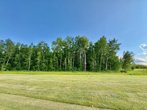 Photo for TBD 22nd St NW, Baudette, MN 56623 - Listing #6720693 Tree line is property- view from fairway #10