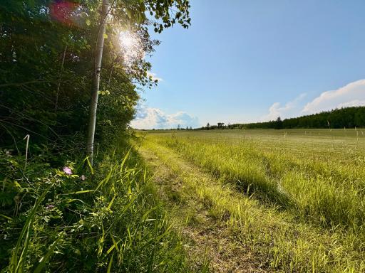 Photo for TBD 22nd St NW, Baudette, MN 56623 - Listing #6720693 North side of property looking west on #10
