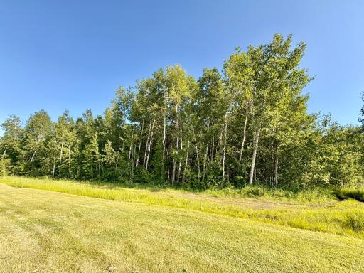 Photo for TBD 22nd St NW, Baudette, MN 56623 - Listing #6720693 TBD 22nd St NW, Baudette, MN 56623