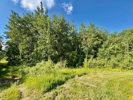 Photo for TBD 22nd St NW, Baudette, MN 56623 - Listing #6720693 TBD 22nd St NW, Baudette, MN 56623
