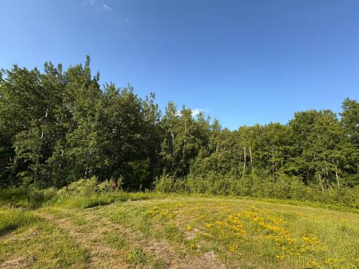 Photo for TBD 22nd St NW, Baudette, MN 56623 - Listing #6720693 TBD 22nd St NW, Baudette, MN 56623