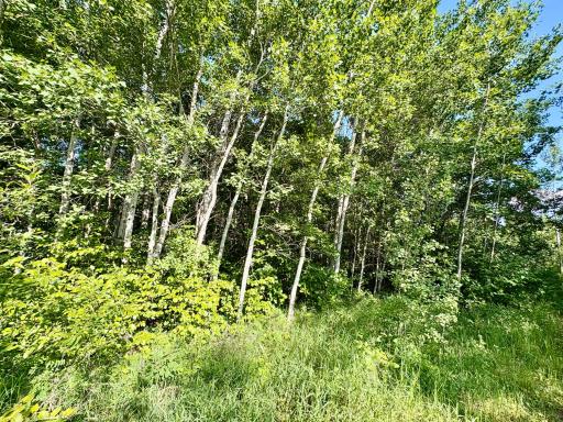 Photo for TBD 22nd St NW, Baudette, MN 56623 - Listing #6720693 TBD 22nd St NW, Baudette, MN 56623