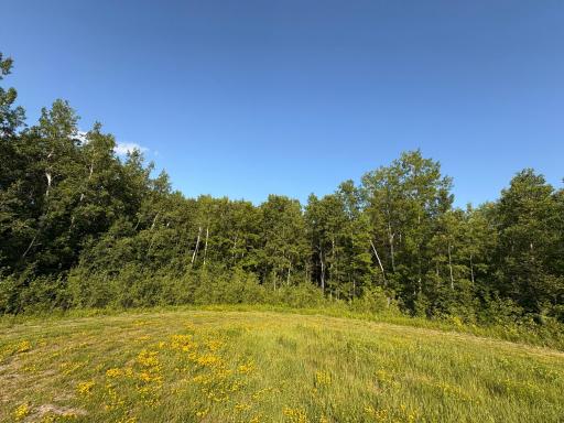 Photo for TBD 22nd St NW, Baudette, MN 56623 - Listing #6720693 TBD 22nd St NW, Baudette, MN 56623