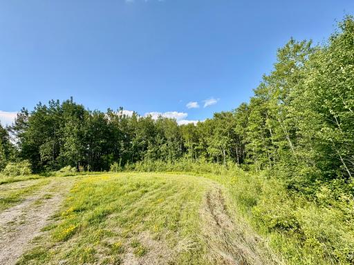 Photo for TBD 22nd St NW, Baudette, MN 56623 - Listing #6720693 Inside Cul De Sac- all trees are property