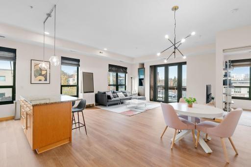 9 W Franklin Avenue, 201, Minneapolis, MN 55404