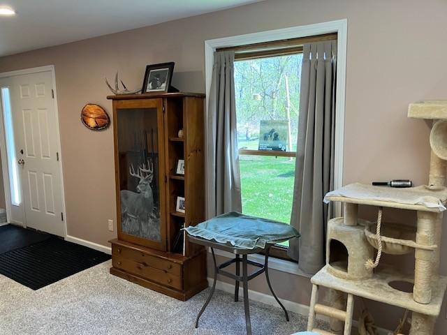Lower level family room. Walk out to the backyard.