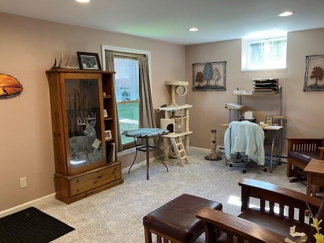Lower level family room.