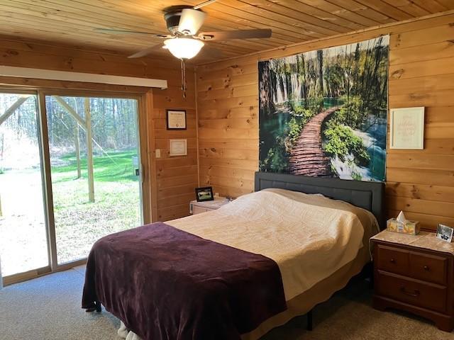 Lower level bedroom.