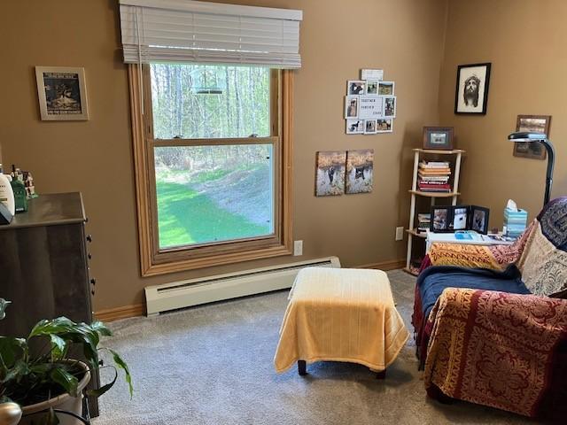 Bedroom two. Larger windows for a great view out to the backyard.