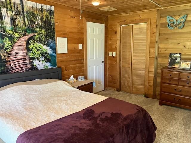 Lower level bedroom.
