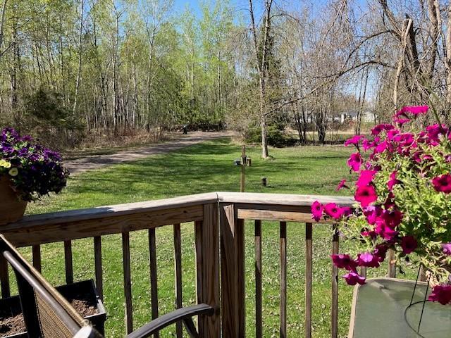 Front yard. Long driveway gives plenty of privacy.