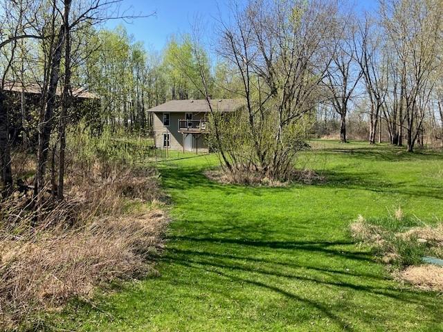 View of the backyard.