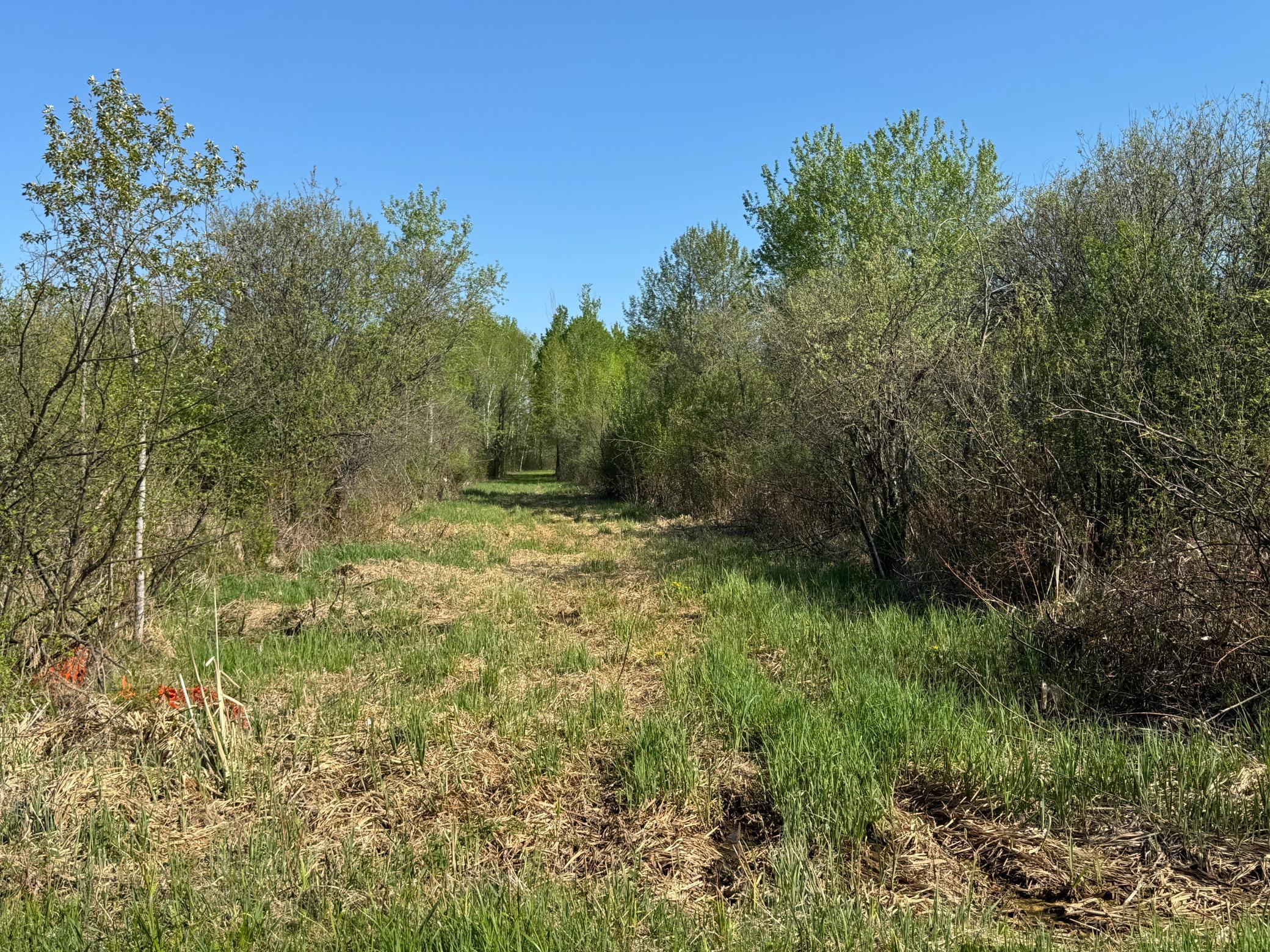 Access of Skog